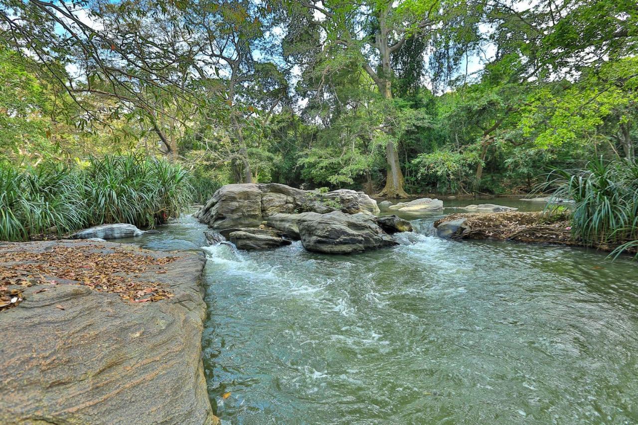 Sayon River Cottage & Eco Garden Monaragala Exterior photo